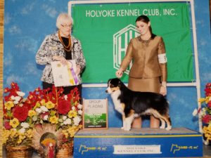  Legacy's Ace Up Your Sleeve 