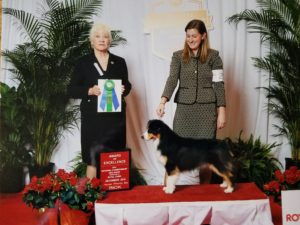 Legacys_Ace_Up_Your_Sleeve3