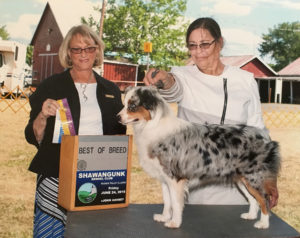 best-of-breed_homespunkennel