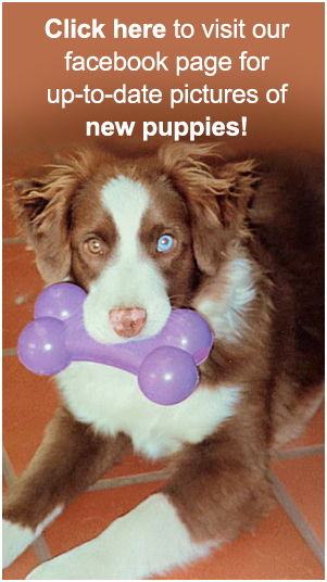 01-Side-bar-facebook