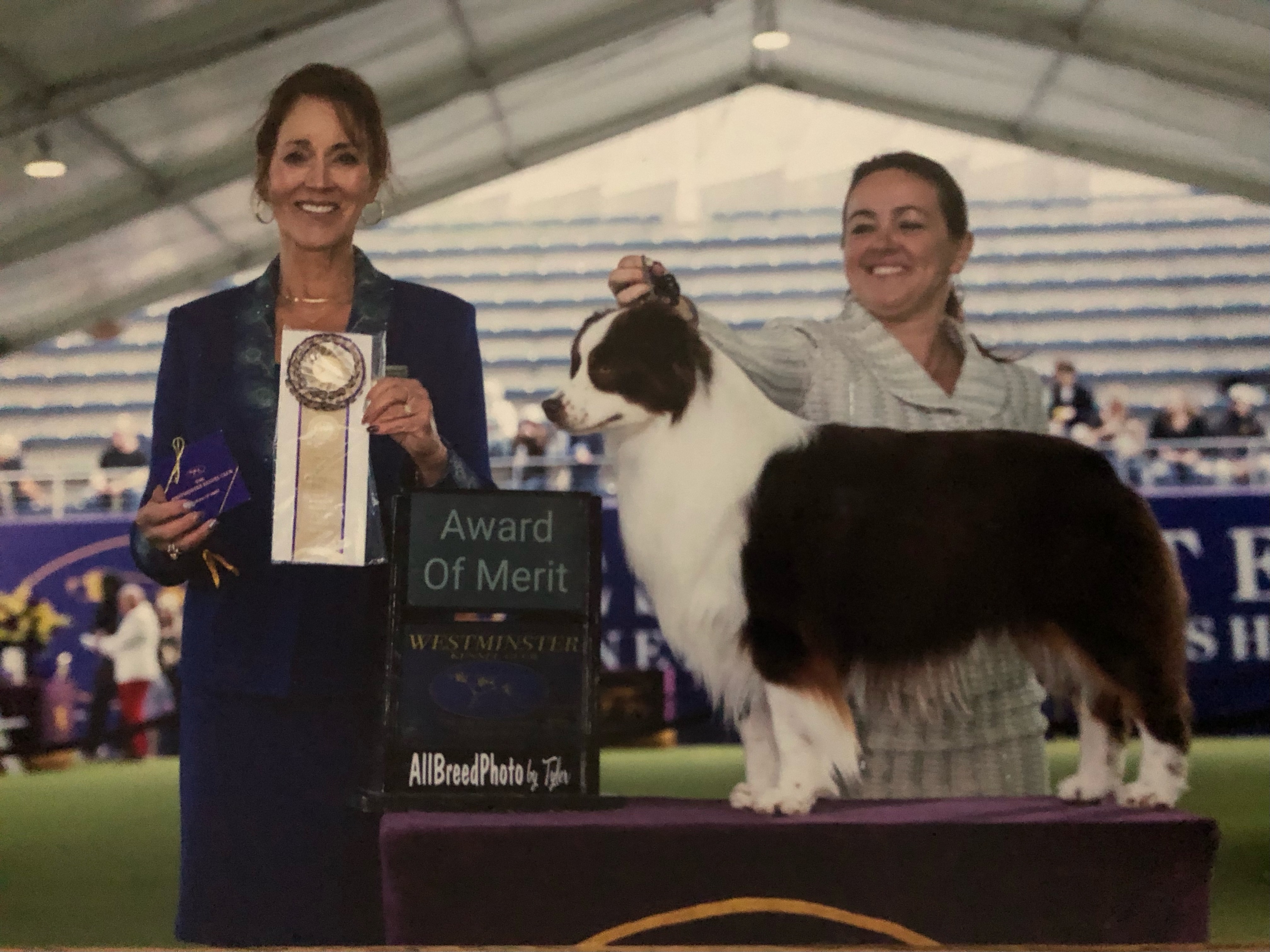 Homespun That's my red Lamborghini