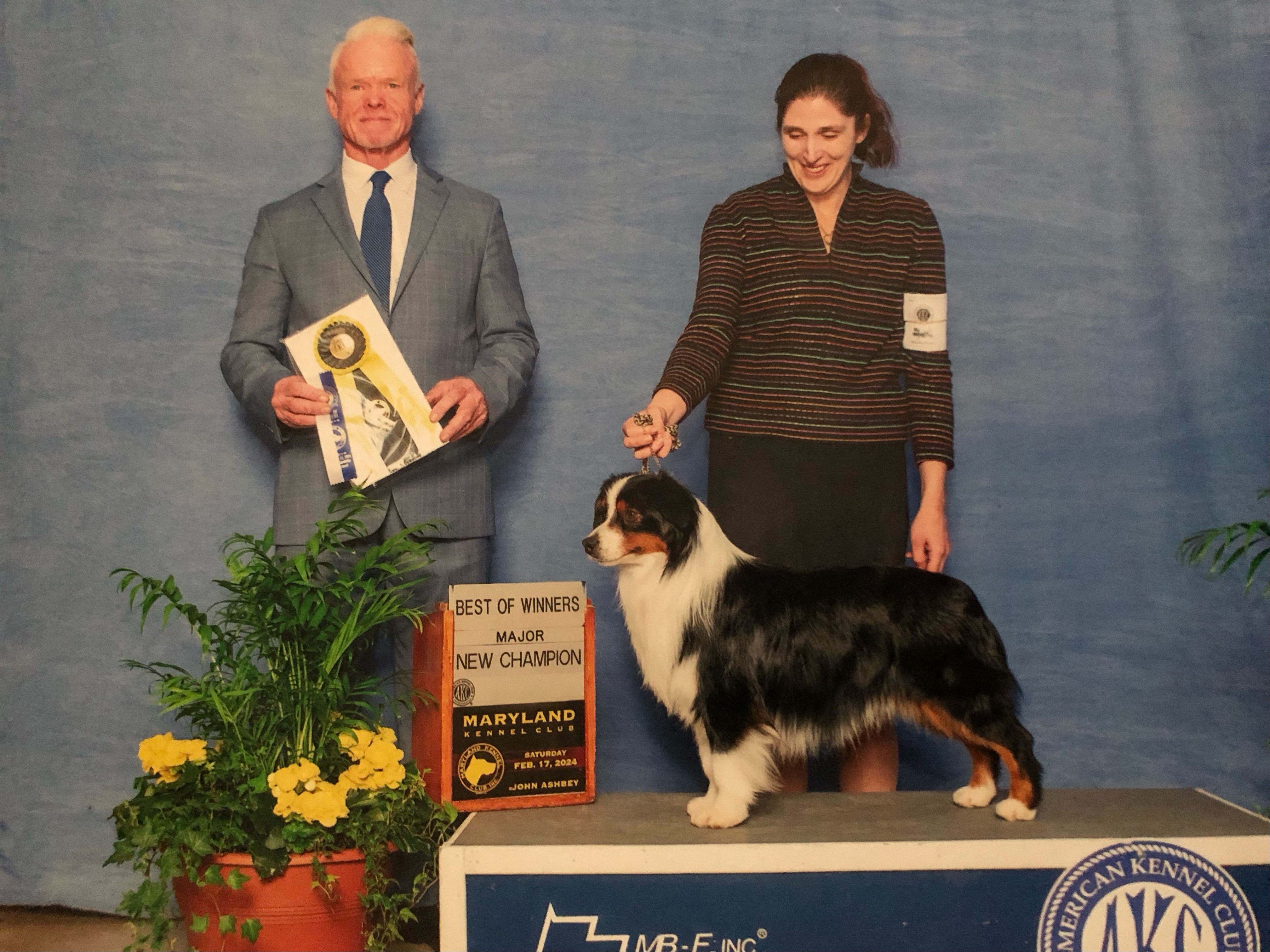 Homespun Finding Aces